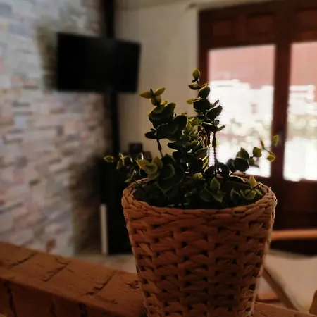 Apartamento En Casa *